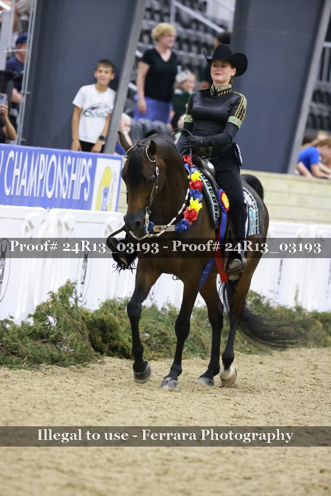 Proof Number 24R13_03193