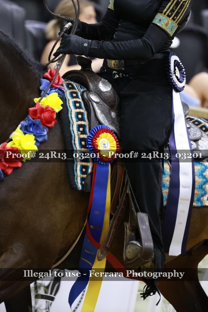 Proof Number 24R13_03201