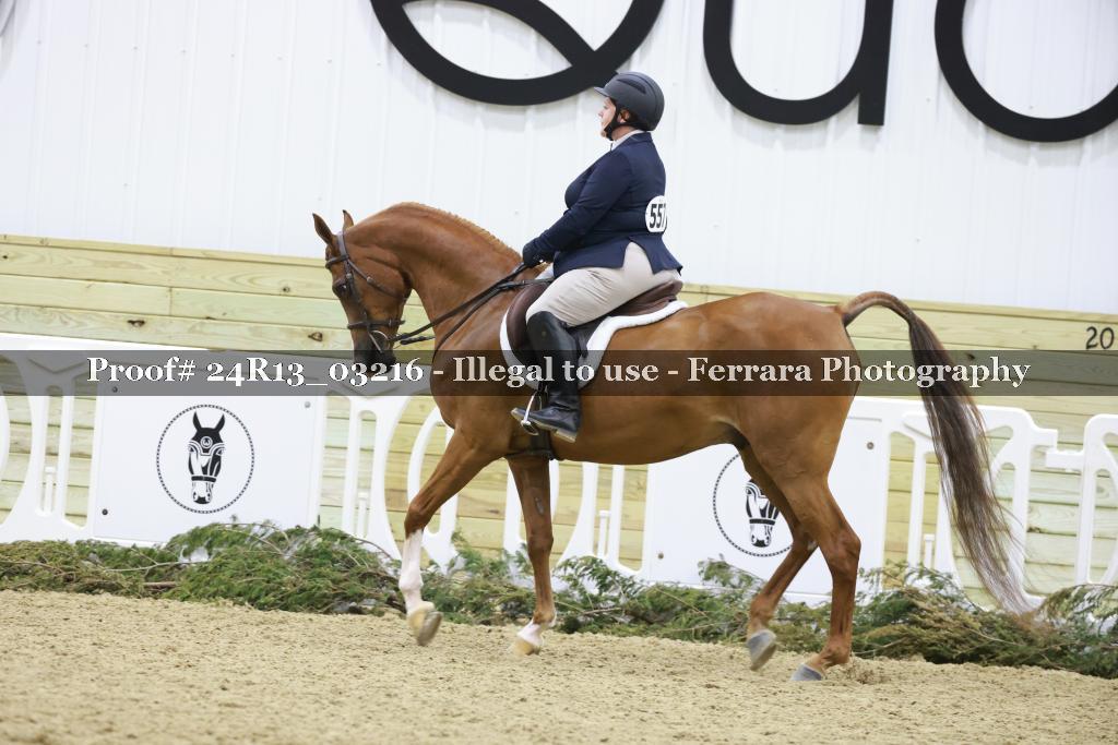 Proof Number 24R13_03216