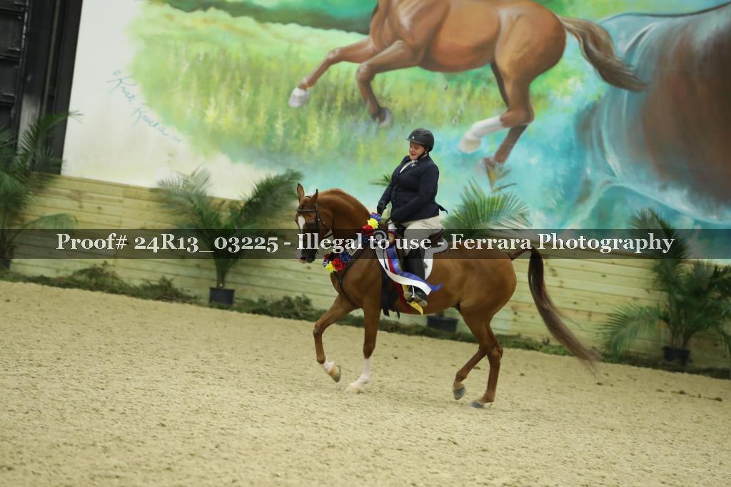Proof Number 24R13_03225