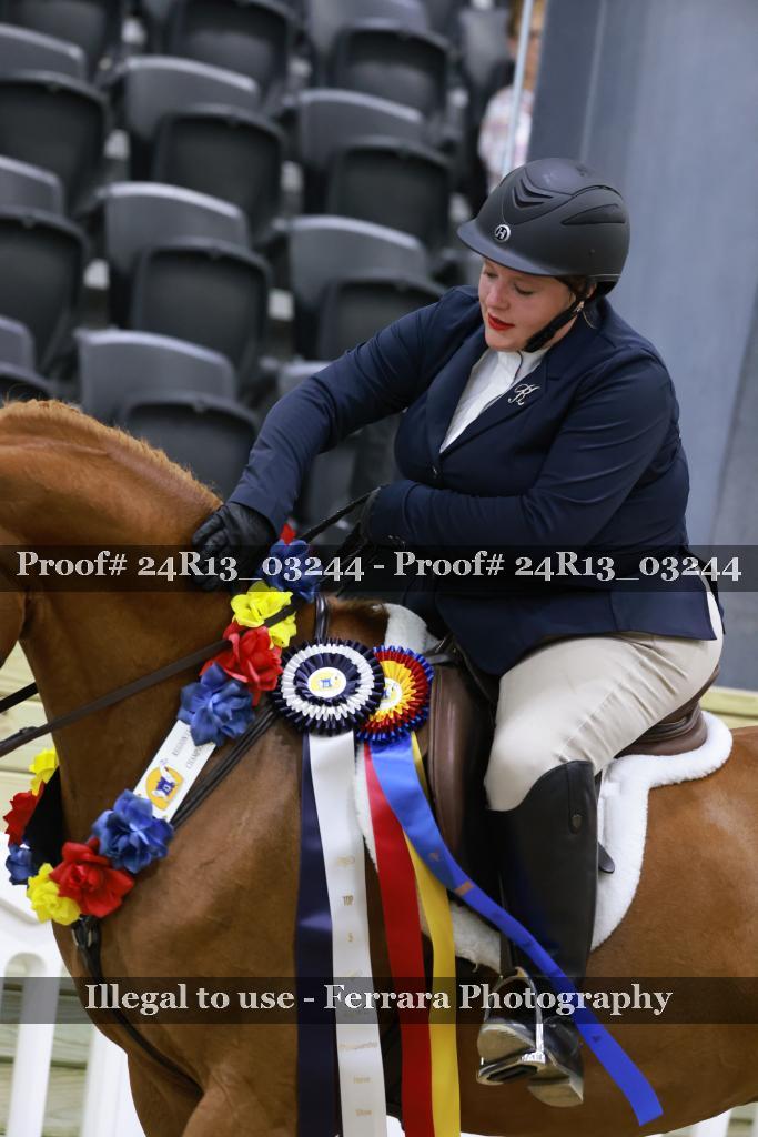 Proof Number 24R13_03244