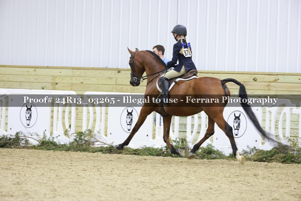 Proof Number 24R13_03265