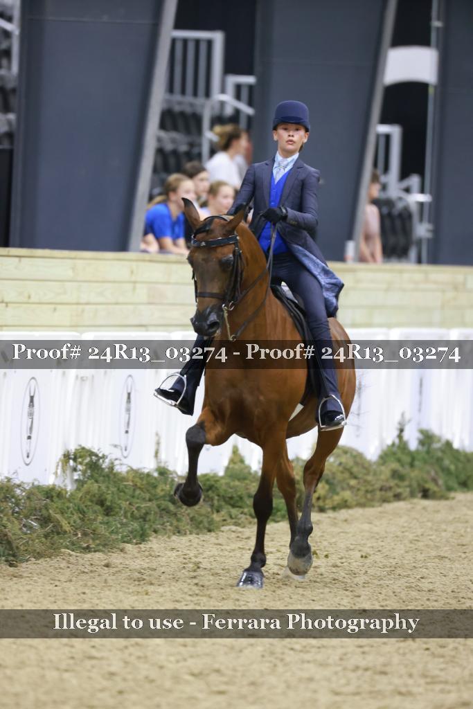 Proof Number 24R13_03274