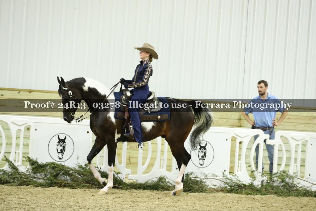 Proof Number 24R13_03278