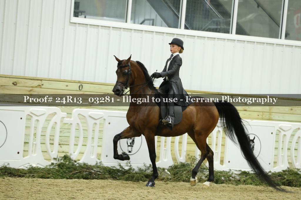 Proof Number 24R13_03281