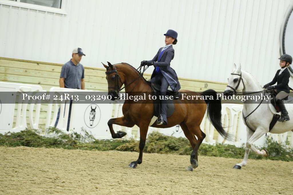 Proof Number 24R13_03290