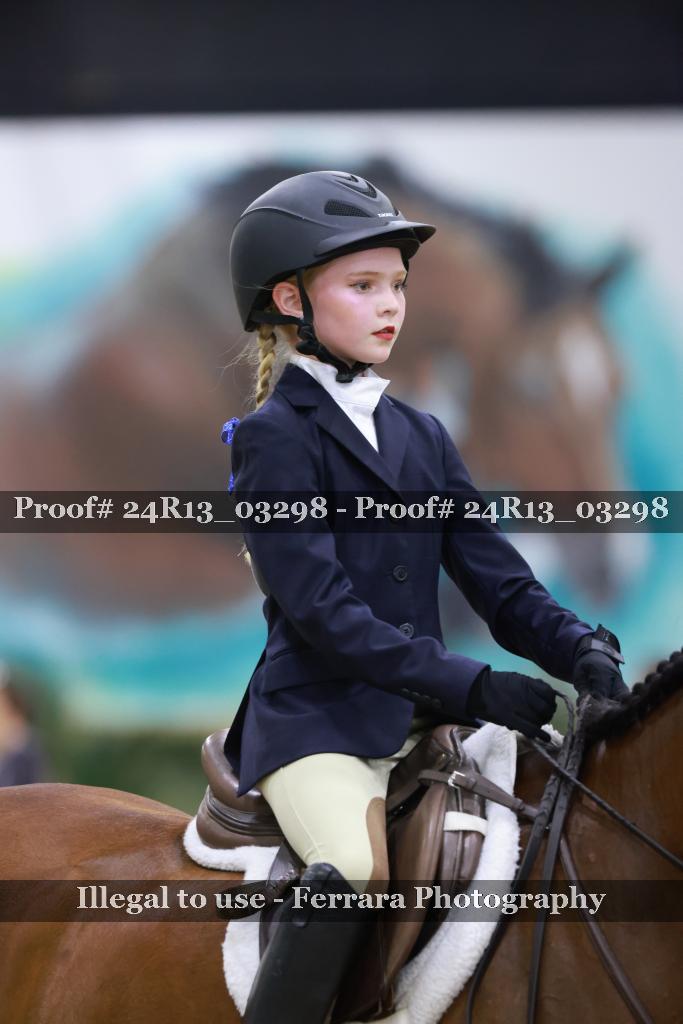 Proof Number 24R13_03298