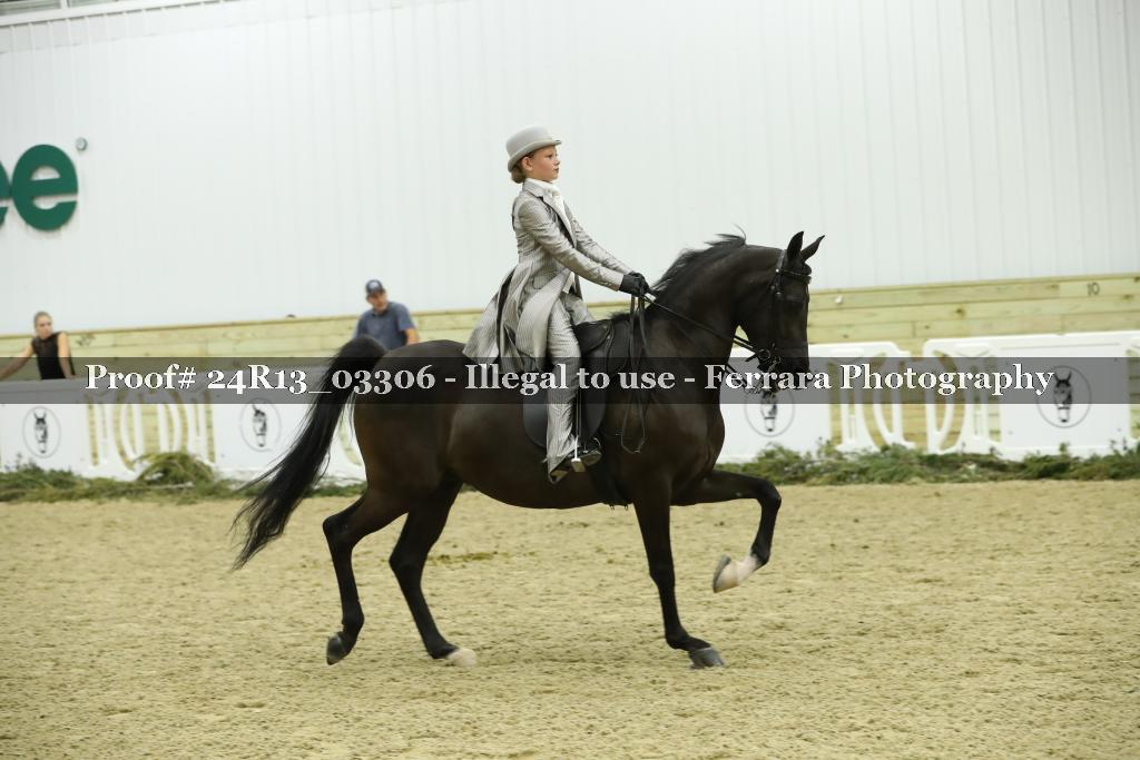 Proof Number 24R13_03306
