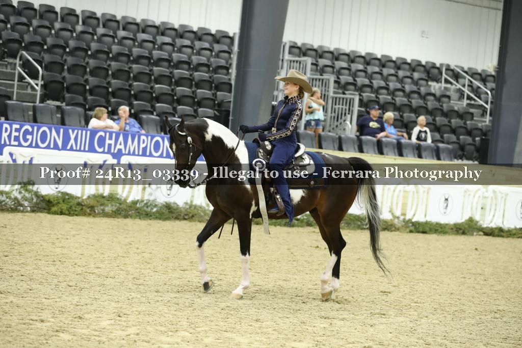 Proof Number 24R13_03339