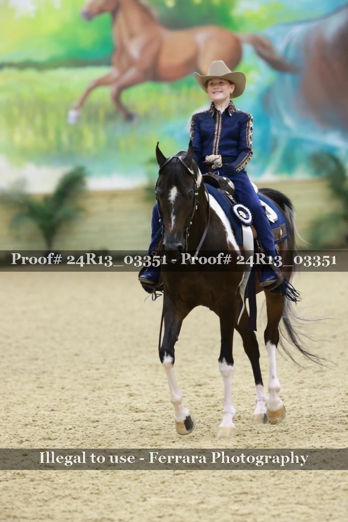 Proof Number 24R13_03351