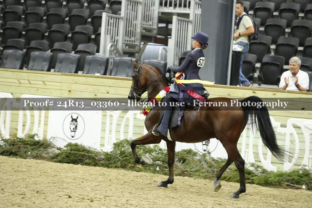 Proof Number 24R13_03360