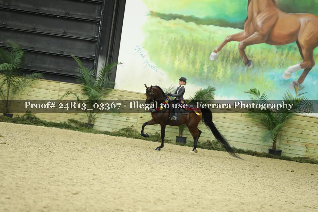 Proof Number 24R13_03367