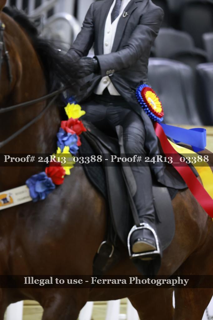 Proof Number 24R13_03388
