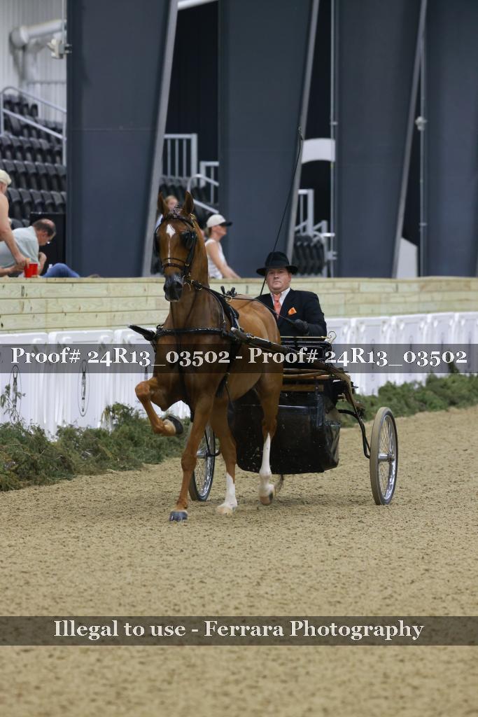 Proof Number 24R13_03502