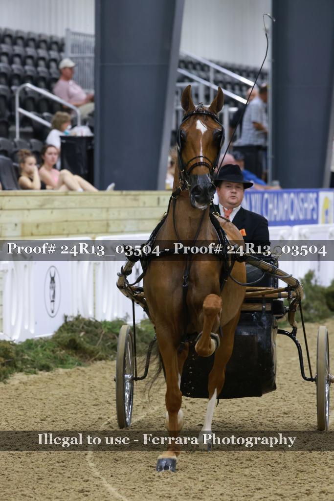 Proof Number 24R13_03504
