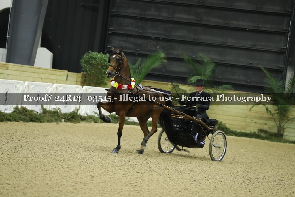 Proof Number 24R13_03515