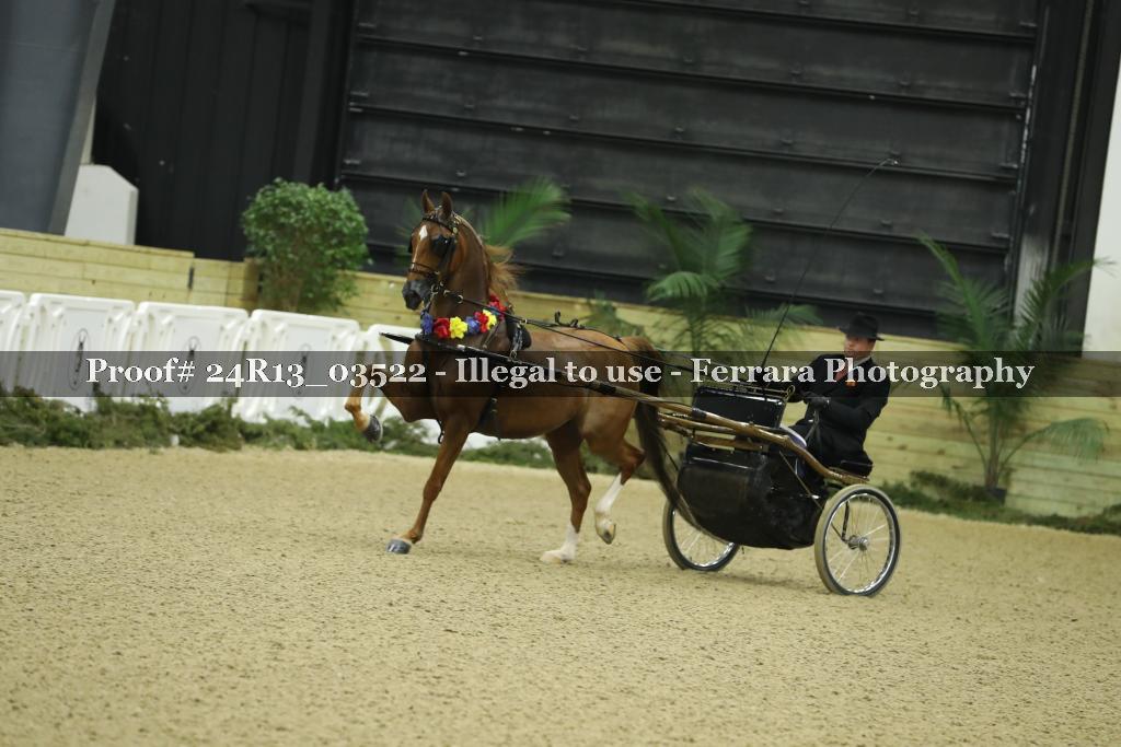 Proof Number 24R13_03522
