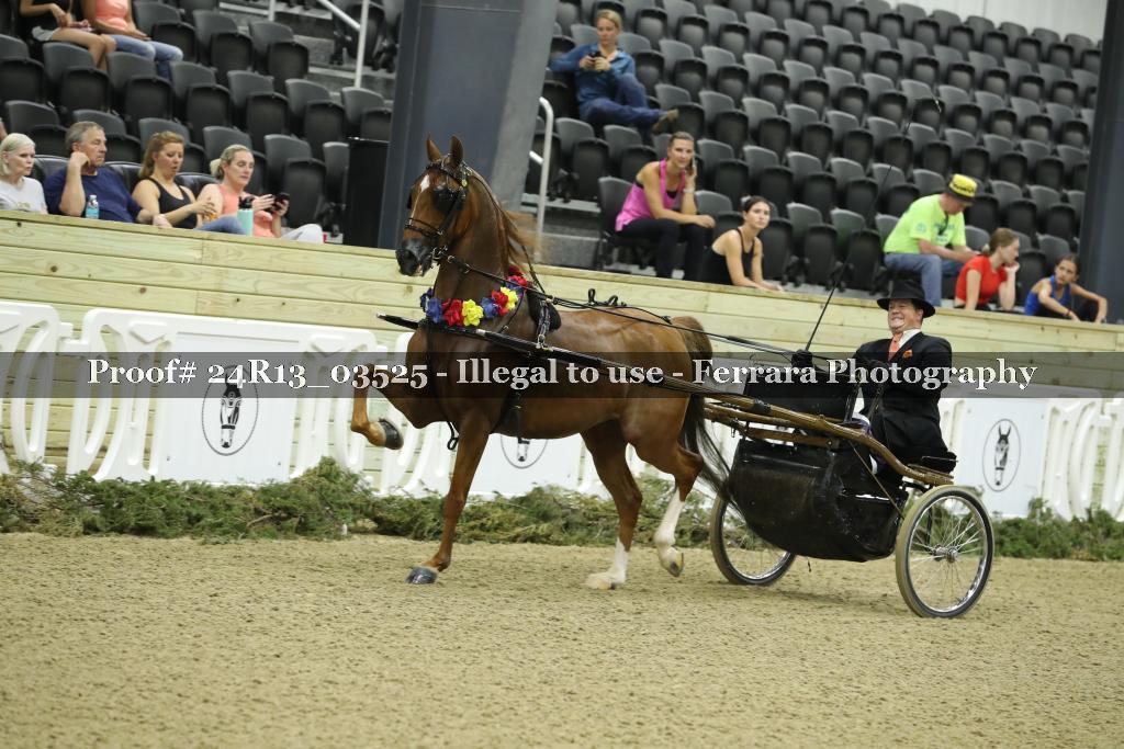 Proof Number 24R13_03525