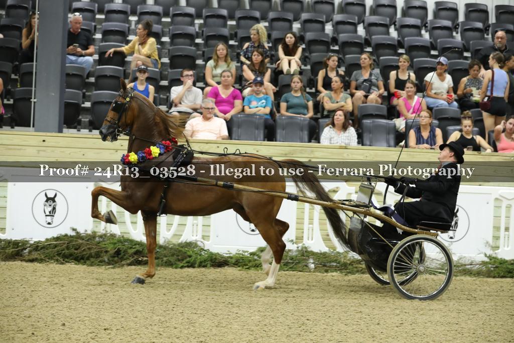 Proof Number 24R13_03528