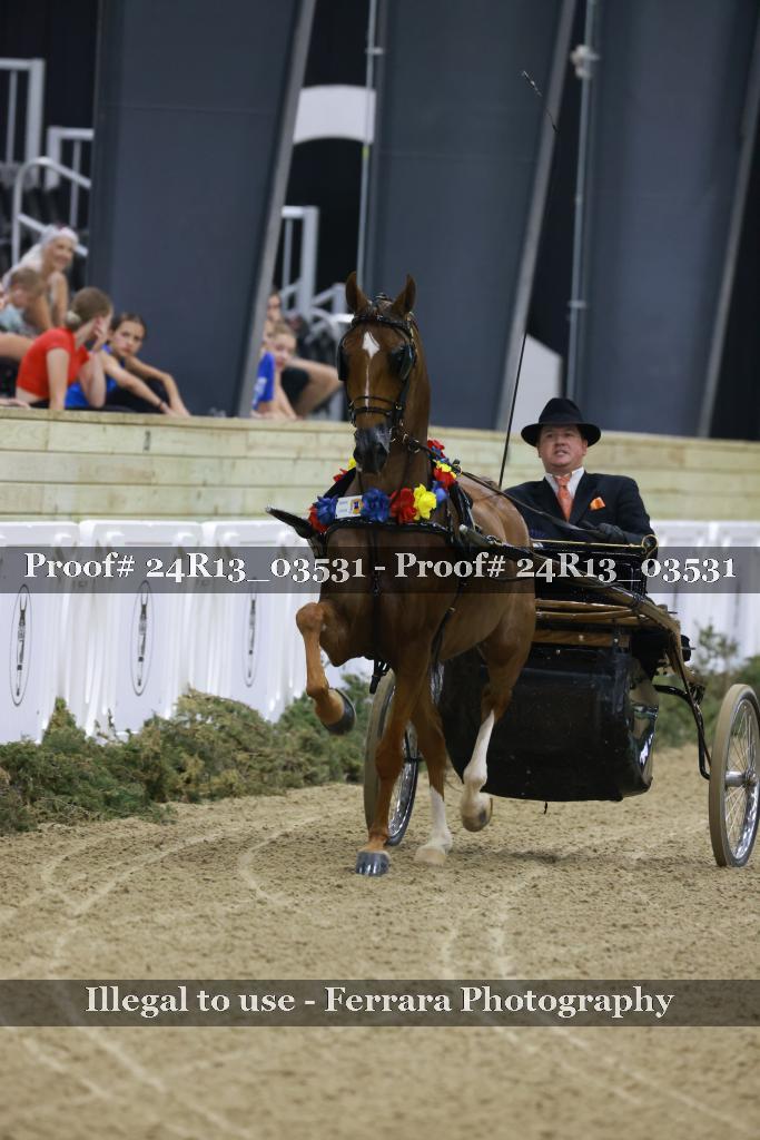 Proof Number 24R13_03531