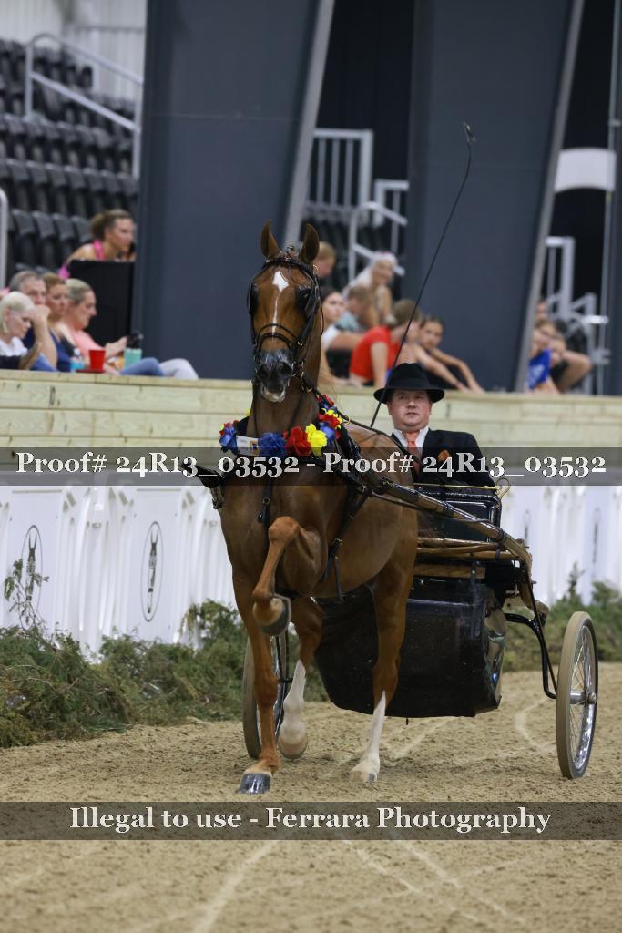 Proof Number 24R13_03532