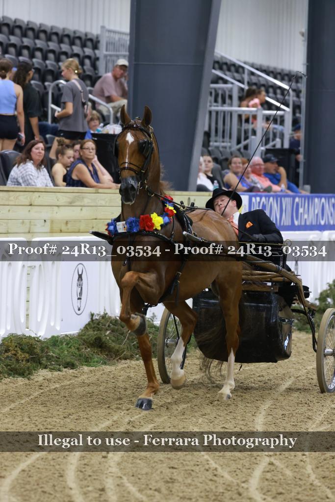 Proof Number 24R13_03534