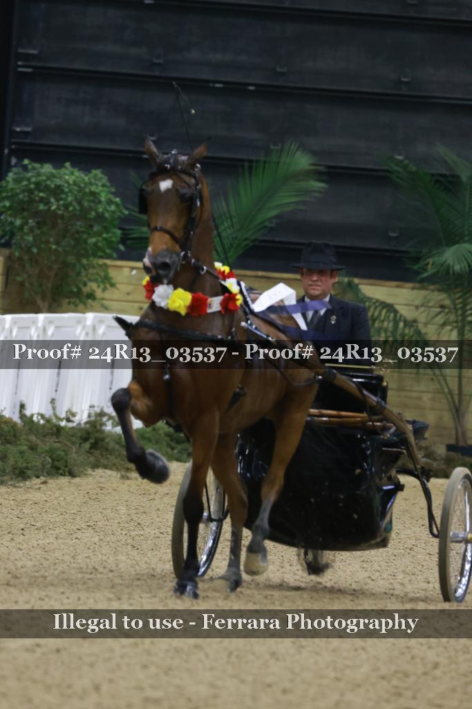 Proof Number 24R13_03537