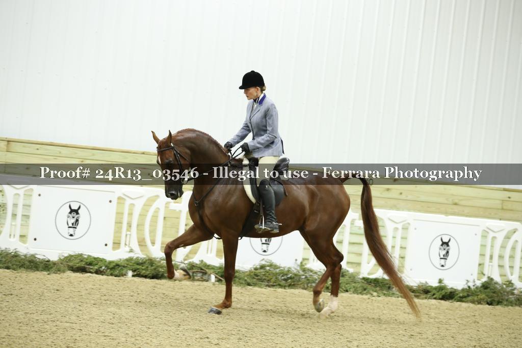 Proof Number 24R13_03546