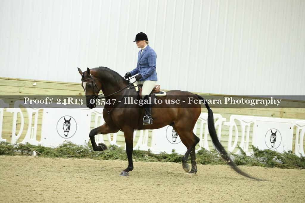 Proof Number 24R13_03547