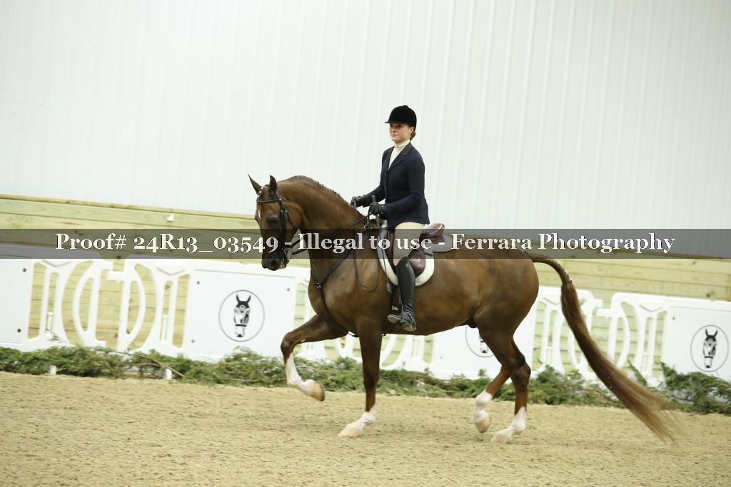 Proof Number 24R13_03549