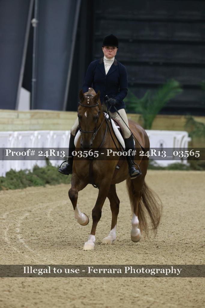 Proof Number 24R13_03565