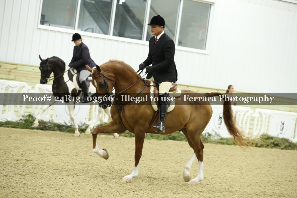 Proof Number 24R13_03566