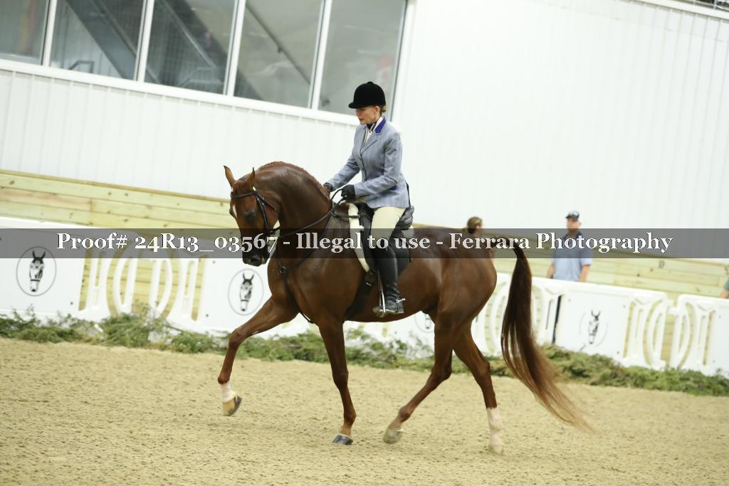 Proof Number 24R13_03567