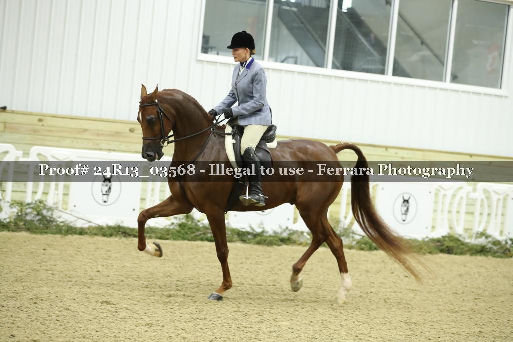 Proof Number 24R13_03568