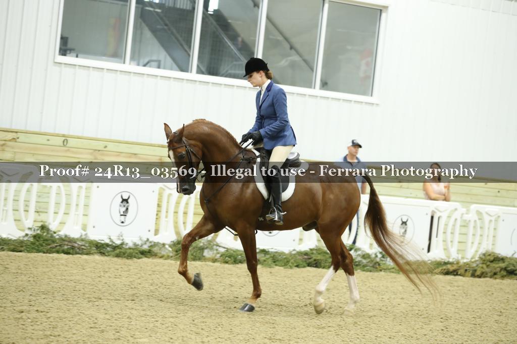 Proof Number 24R13_03569