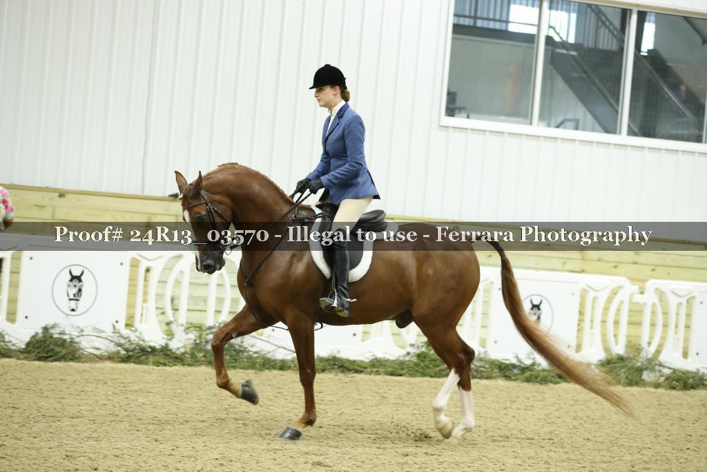 Proof Number 24R13_03570