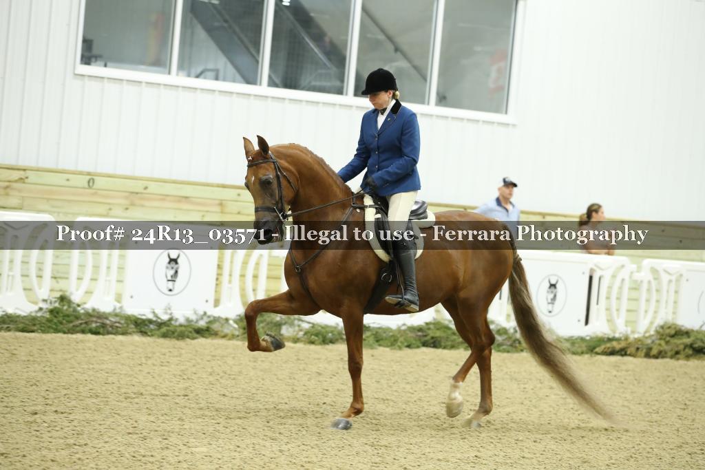 Proof Number 24R13_03571