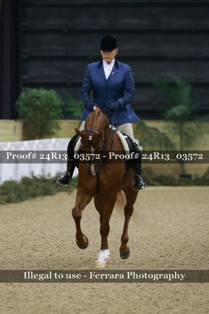 Proof Number 24R13_03572
