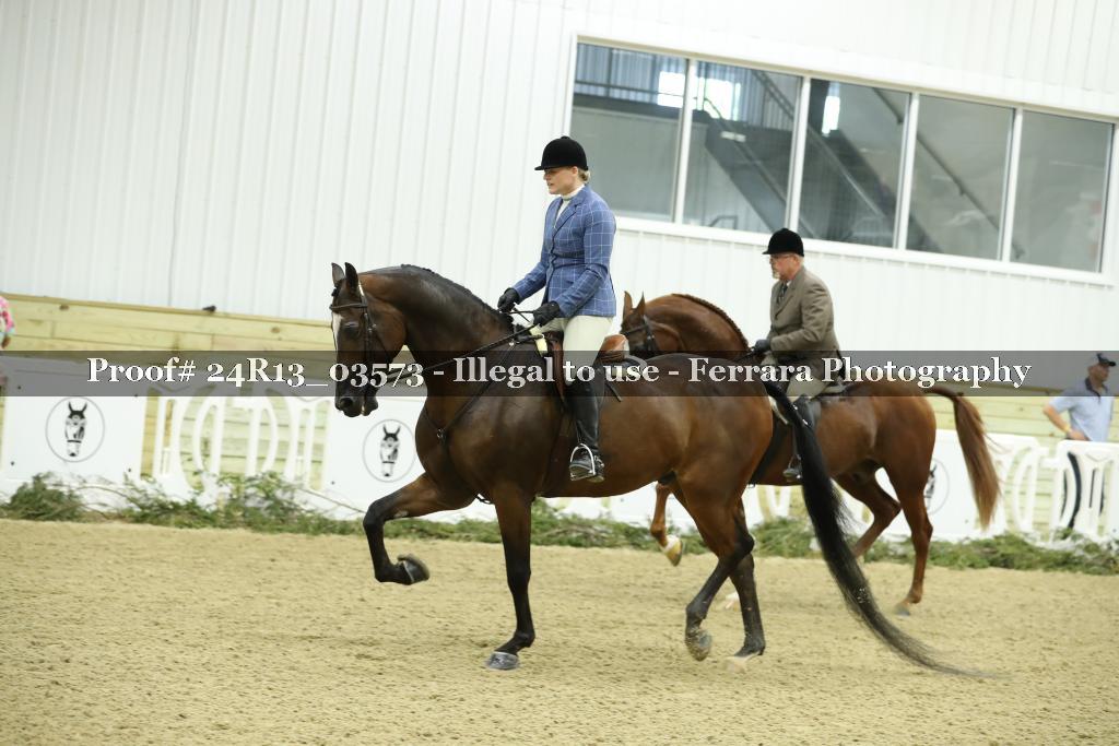 Proof Number 24R13_03573