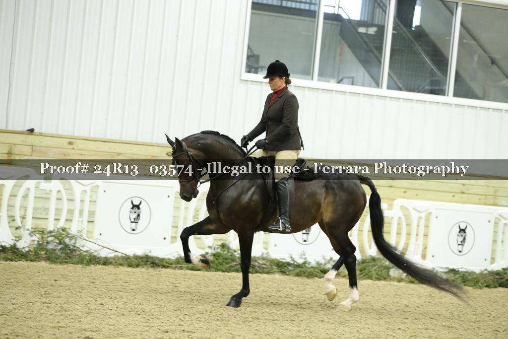 Proof Number 24R13_03574