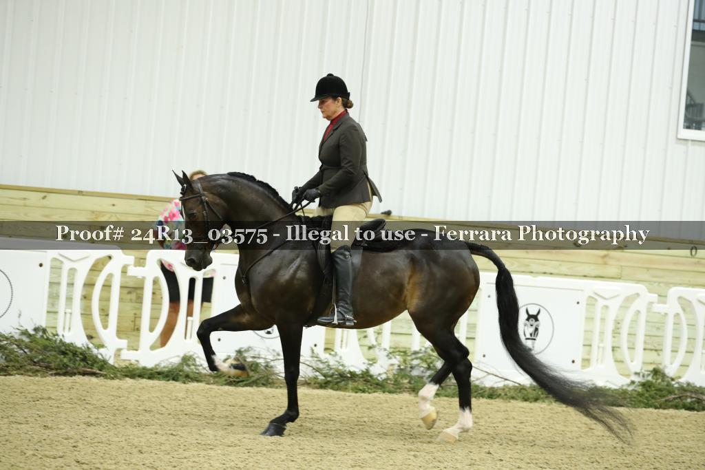 Proof Number 24R13_03575