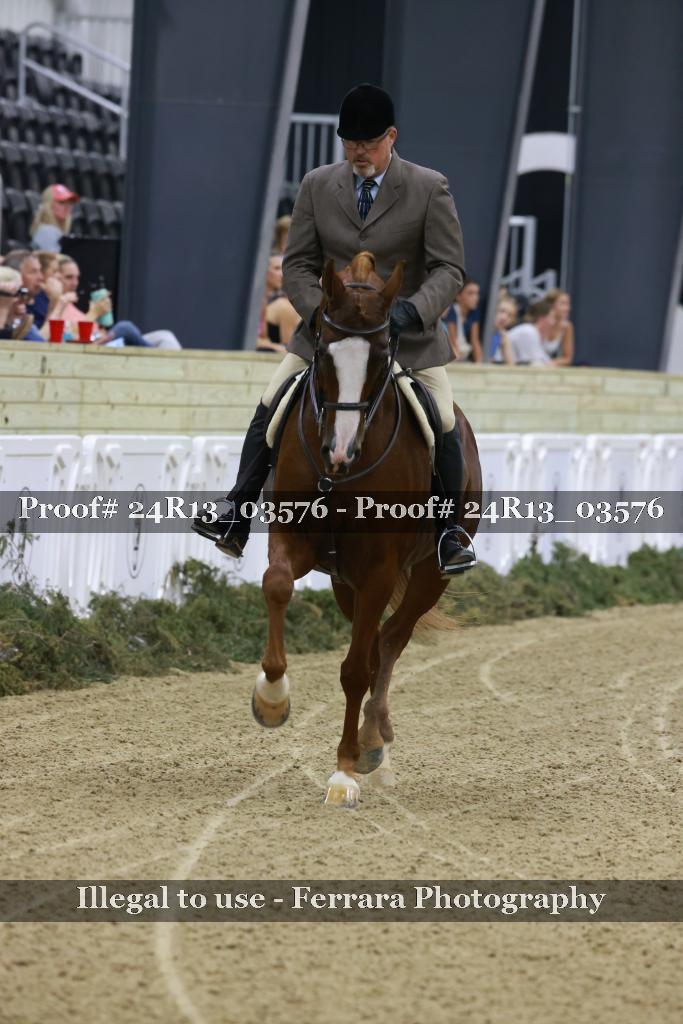 Proof Number 24R13_03576