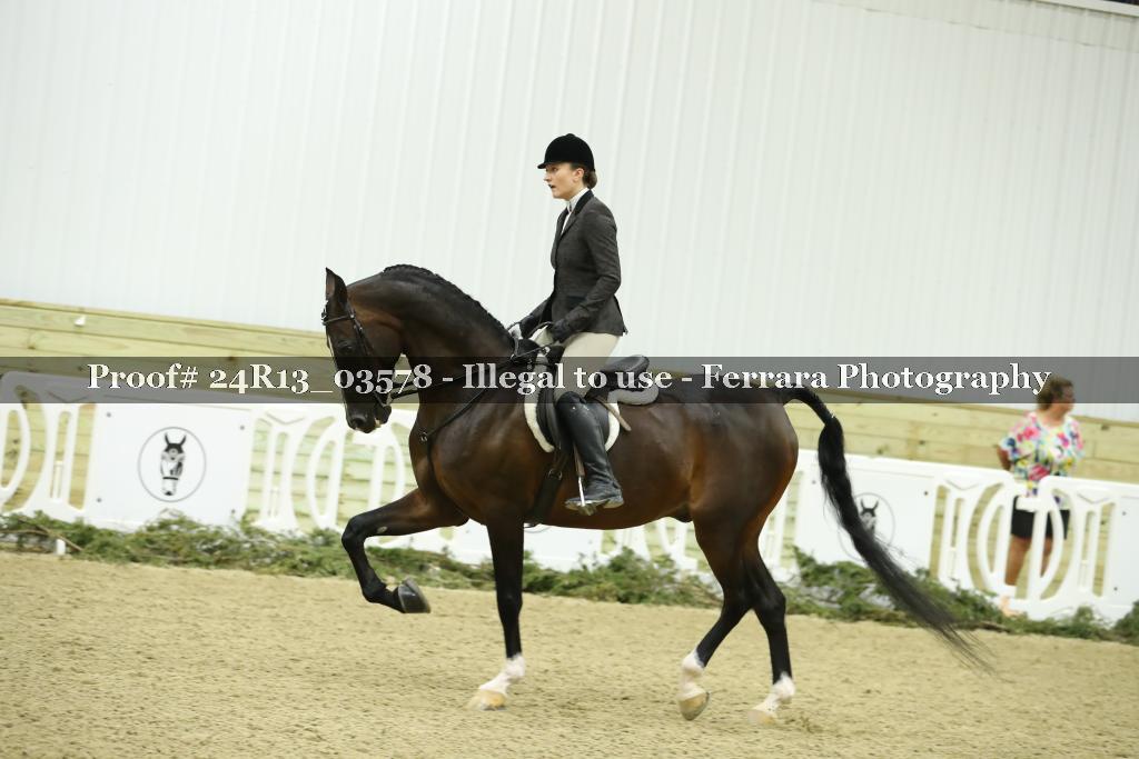Proof Number 24R13_03578
