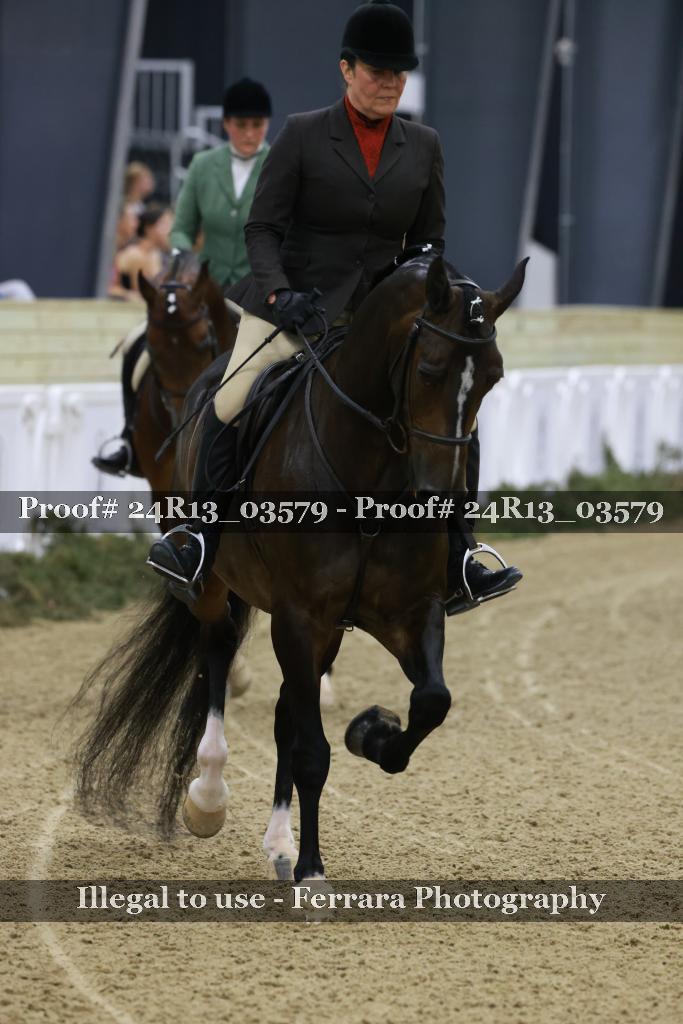 Proof Number 24R13_03579