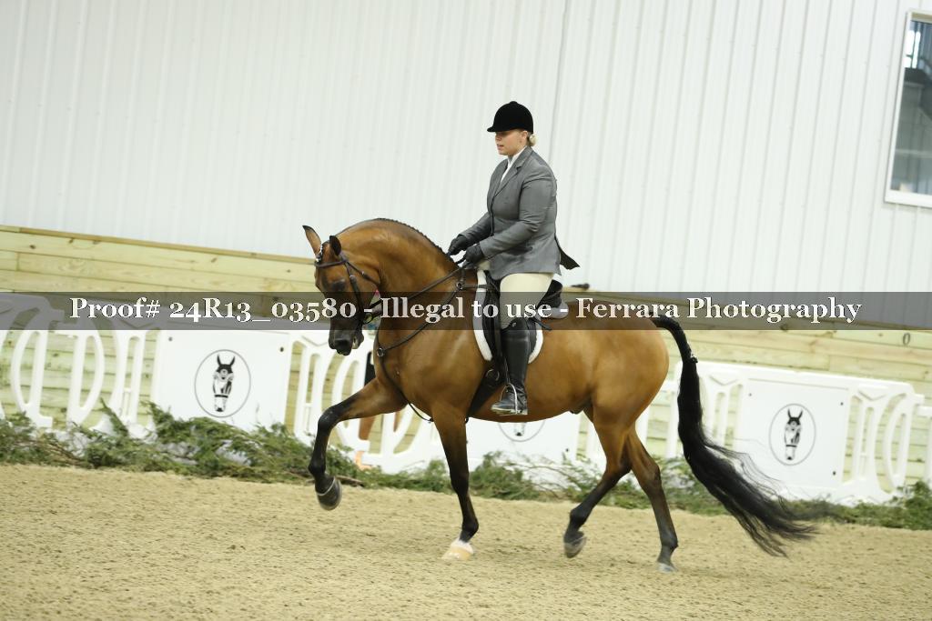 Proof Number 24R13_03580