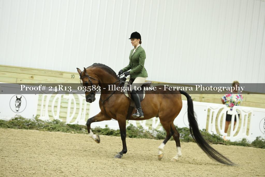 Proof Number 24R13_03583