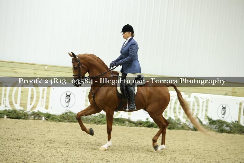 Proof Number 24R13_03584
