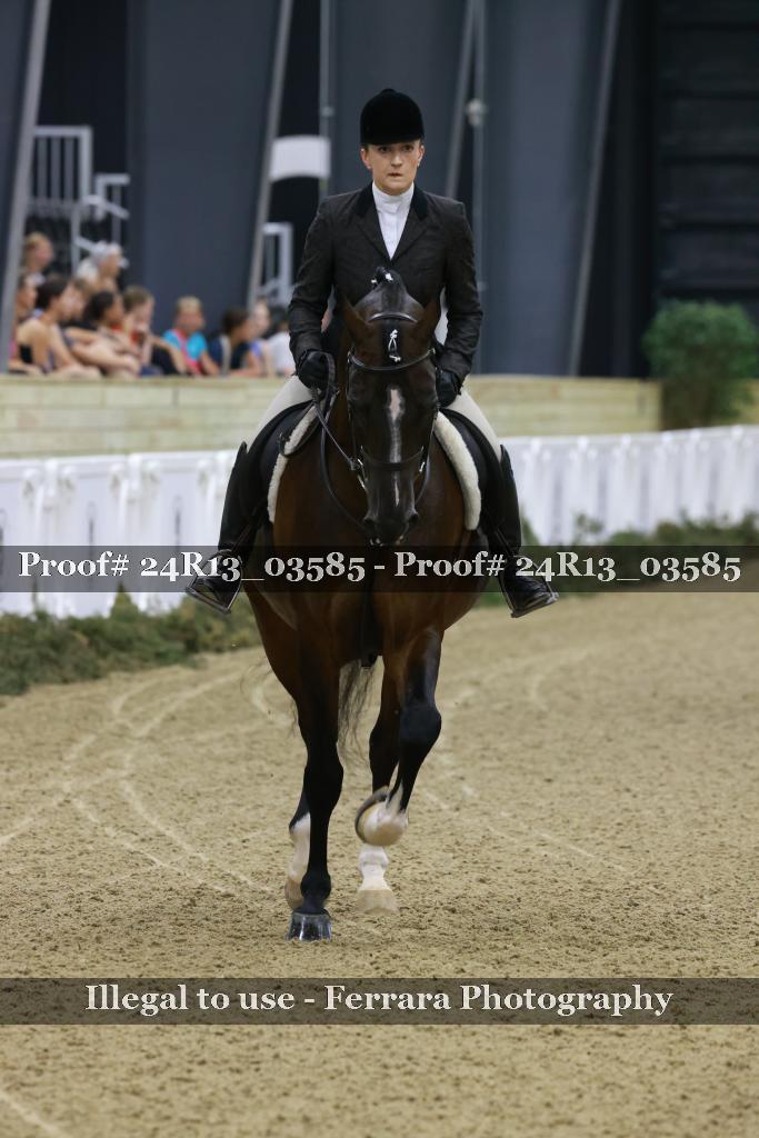 Proof Number 24R13_03585