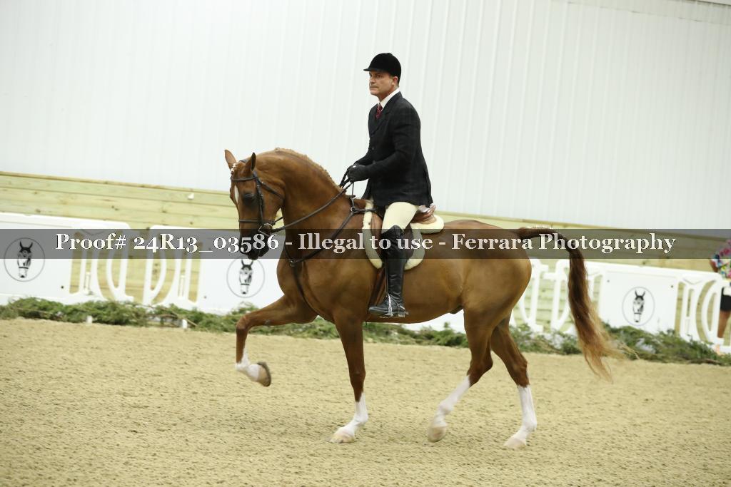 Proof Number 24R13_03586