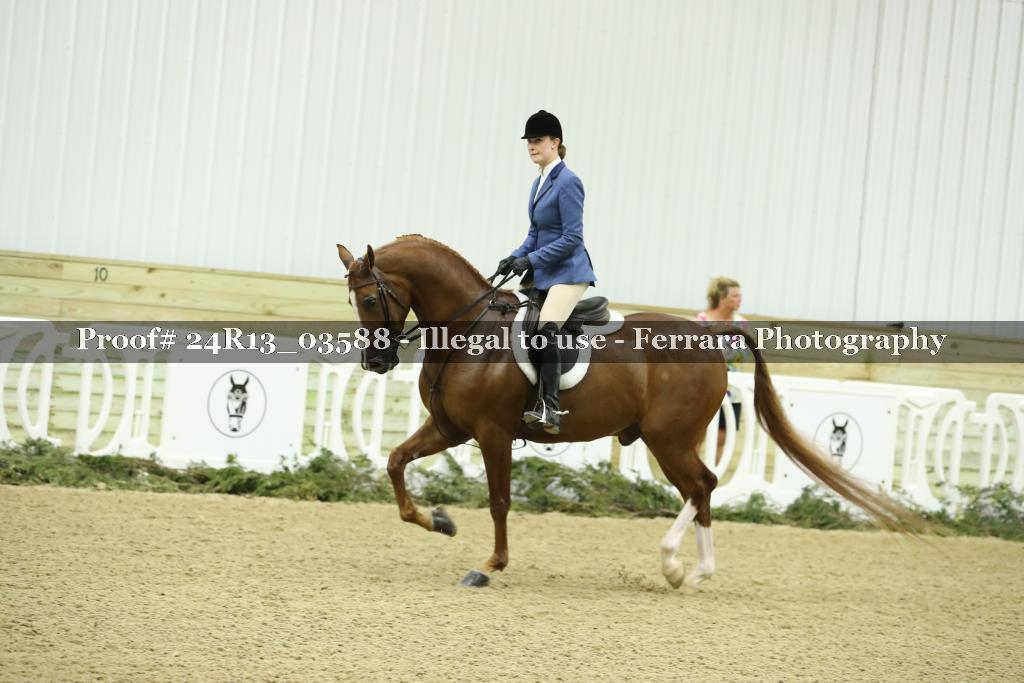 Proof Number 24R13_03588
